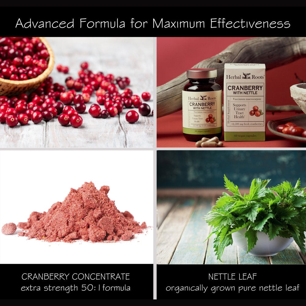 Cranberry Pills with Organic Nettle by Herbal Roots | Urinary Tract Health | One Size, Natural