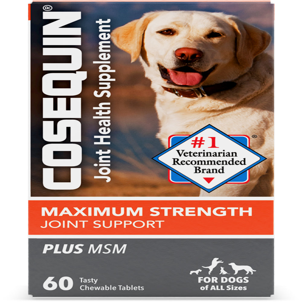 Cosequin Joint Health Supplement for Dogs, Maximum Strength plus MSM Chewable Tablets 60Ct