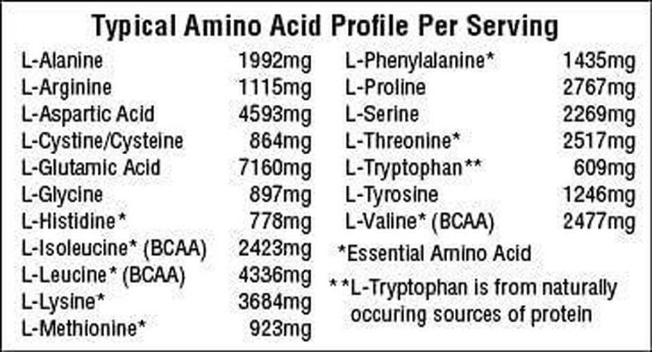 swiig Mass Builder Protein Powder, Chocolate, 3.3 Pound