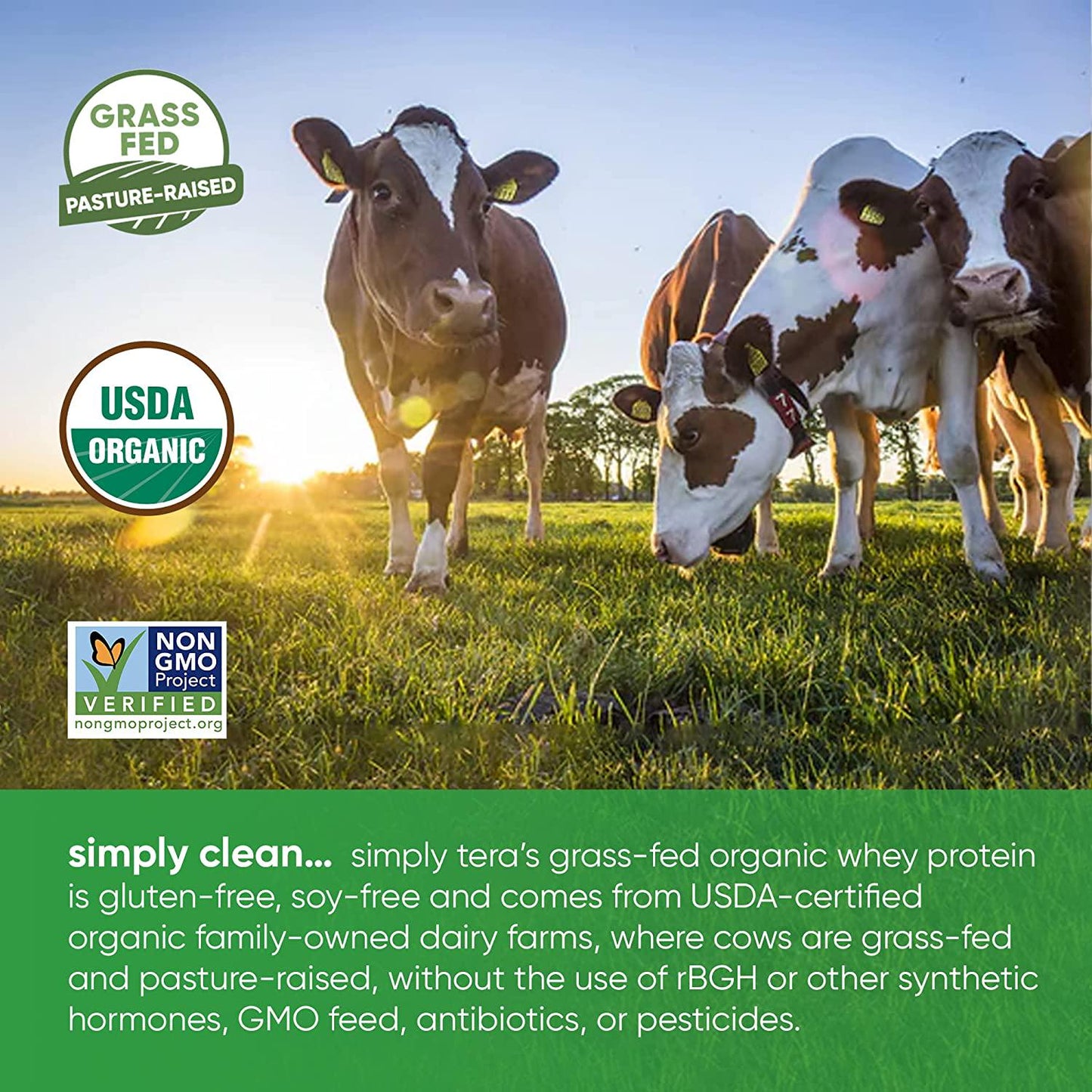 tera's Organic whey Protein, Dark Chocolate