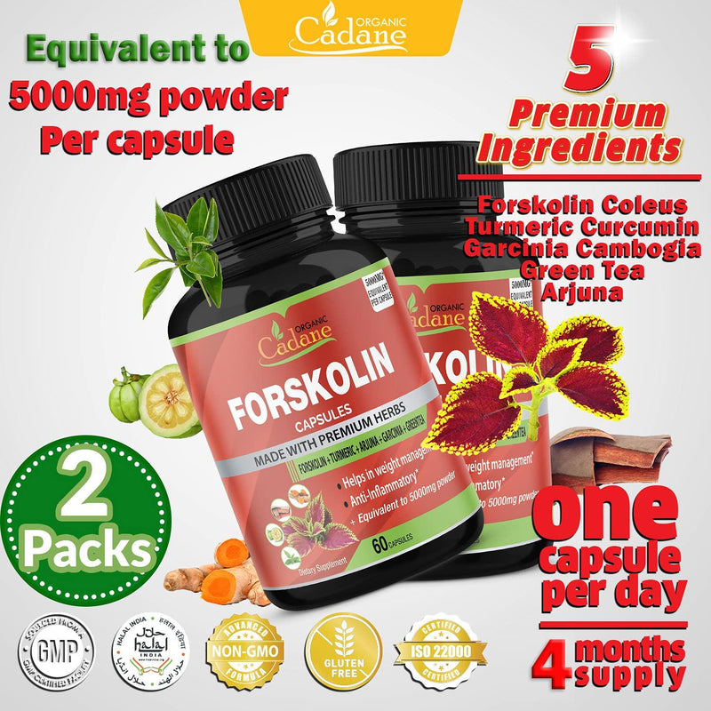 2 Packs Organic Forskolin Extract Capsules 5000mg and Turmeric Curcumin, Arjuna, Garcinia Cambogia, Green Tea