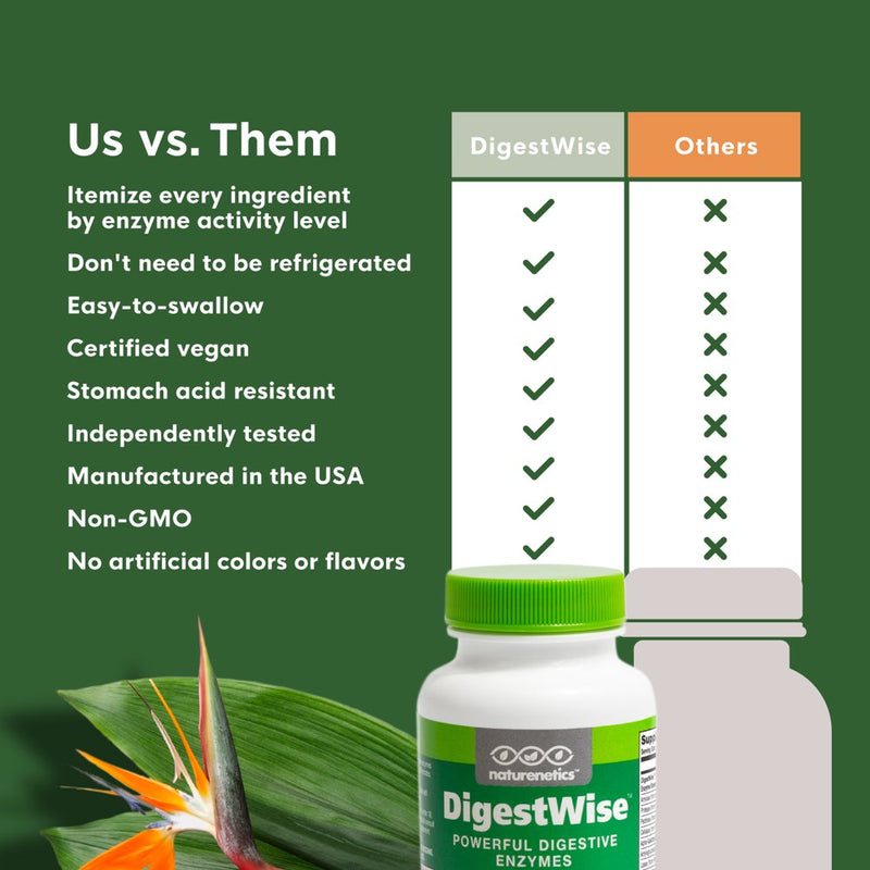 Digestwise by Naturenetics Digestive Enzymes - 1 before Each Meal See How Good You Feel - 10 Enzymes - Proteolytic - Vegan - Gluten-Free - with Lipase Lactase Amylase Protease