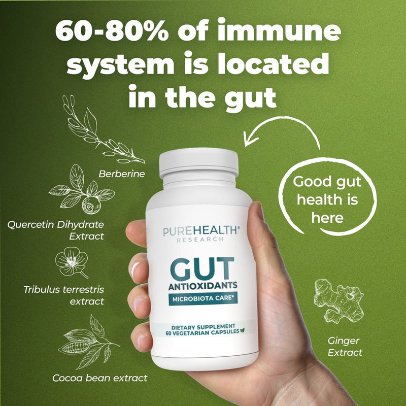 Gut Antioxidant Formula Gut Health Supplements - Antioxidant Supplements for Gut Health and Energy - anti Inflammatory Supplement by Purehealth Research, 6 Bottles