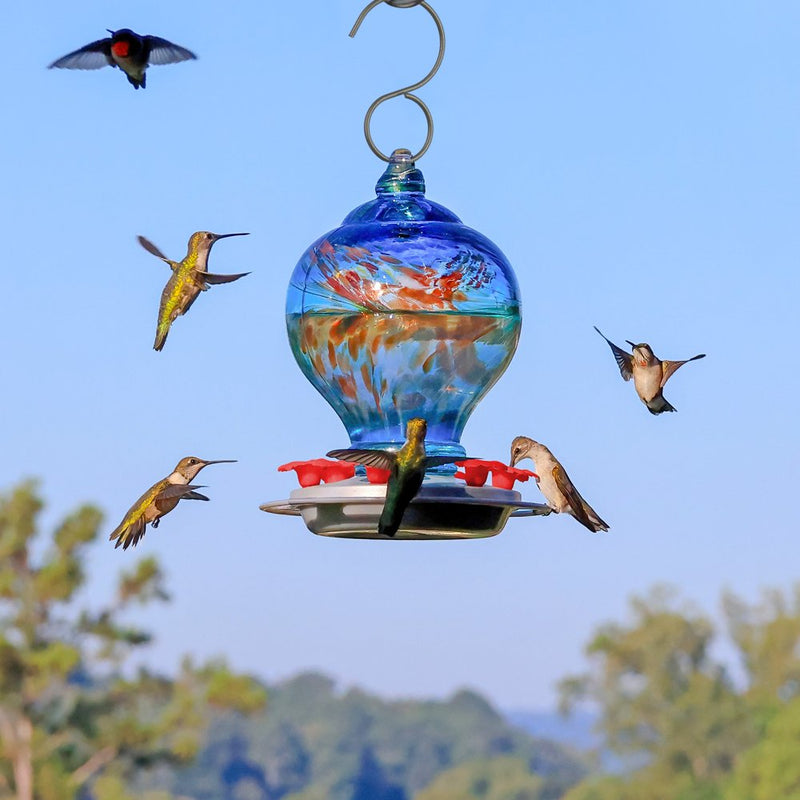 Nature'S Way Artisan Glass Gravity Hummingbird Feeder 28 Oz, Sunny Day