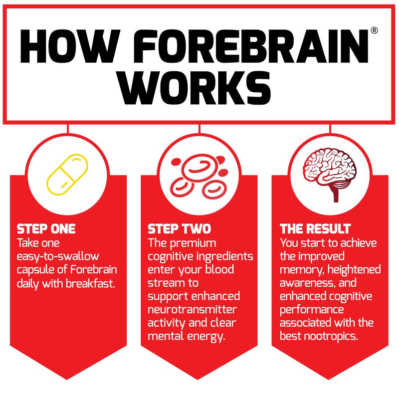 Forebrain Nootropic Brain Supplement to Improve Memory and Support Brain Health Force Factor, 30 Capsules