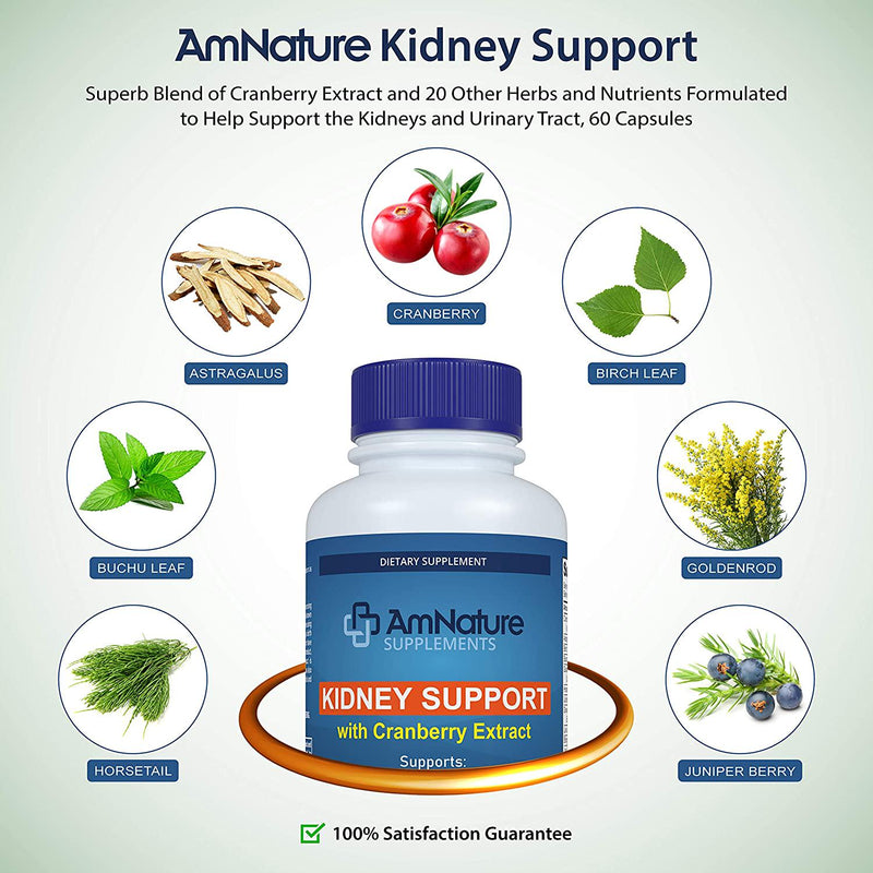 AmNature Kidney Support with Bladder Health and Urinary Tract System, Cranberry Extract Blend 20 Herbs and Nutrients Formula Supports Healthy Kidney, Pack of 60 Vegetable Capsules