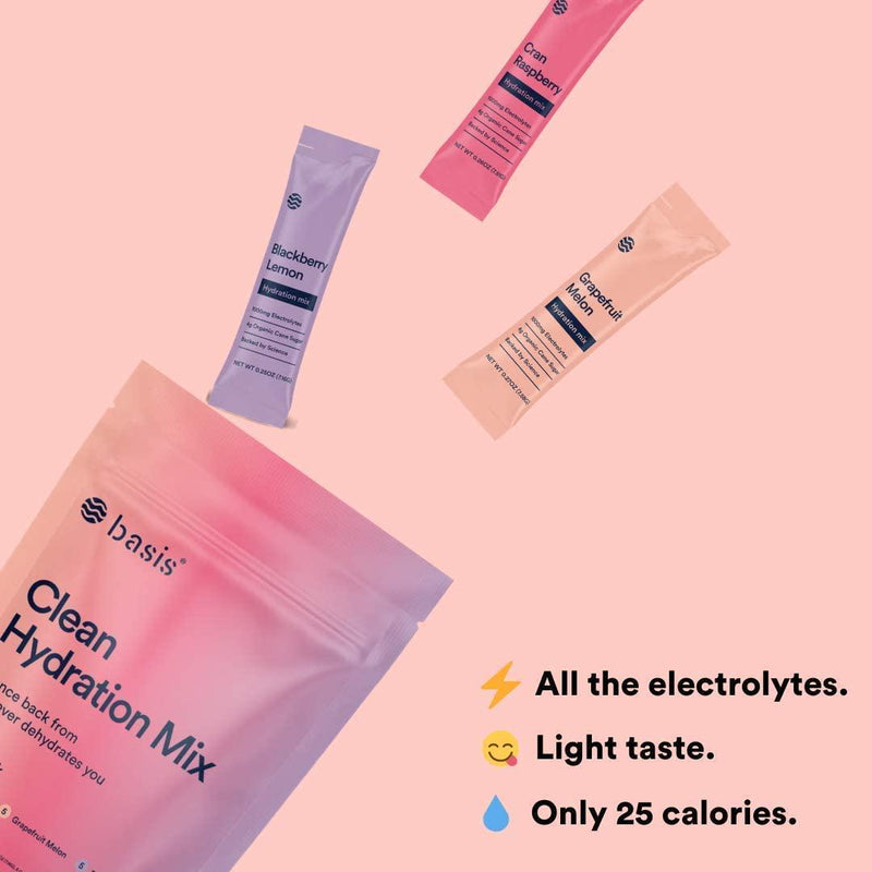 Basis Electrolyte Powder Mix, Keto-Friendly Hydration, Low Sugar for Dehydration Recovery - 3 Variety Flavors / 3 Pouches (45 Sticks)