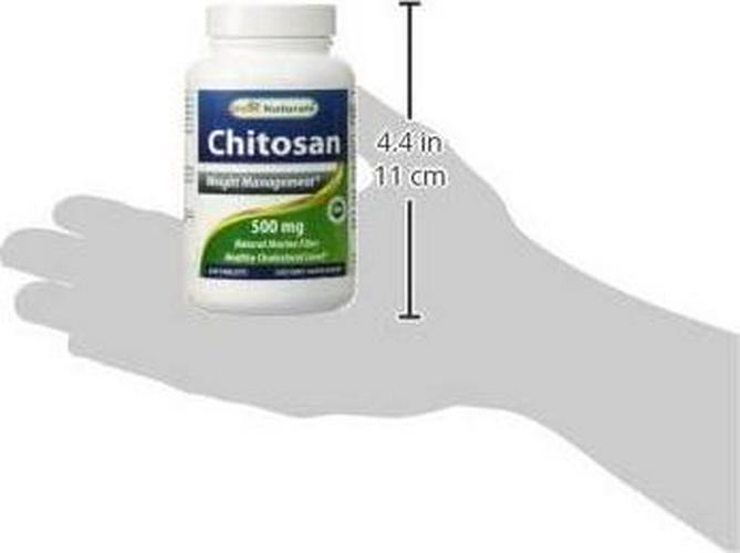 Best Naturals -- Chitosan -- 500 mg -- 120 Tablets