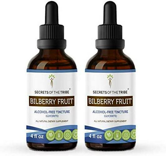 Bilberry Fruit Alcohol-Free Liquid Extract, Organic Bilberry (Vaccinium Myrtillus) Dried Fruit Tincture Supplement (2x4 FL OZ)