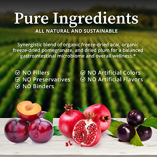 BioPure Deep Purple All-Natural Superfruit Dietary Supplement Made from a Synergistic Blend of Organic Acai, Organic Pomegranate, and Plum for Gut Health, Immune Support and Overall Wellness 100g