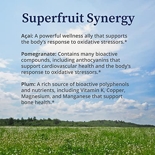 BioPure Deep Purple All-Natural Superfruit Dietary Supplement Made from a Synergistic Blend of Organic Acai, Organic Pomegranate, and Plum for Gut Health, Immune Support and Overall Wellness 100g