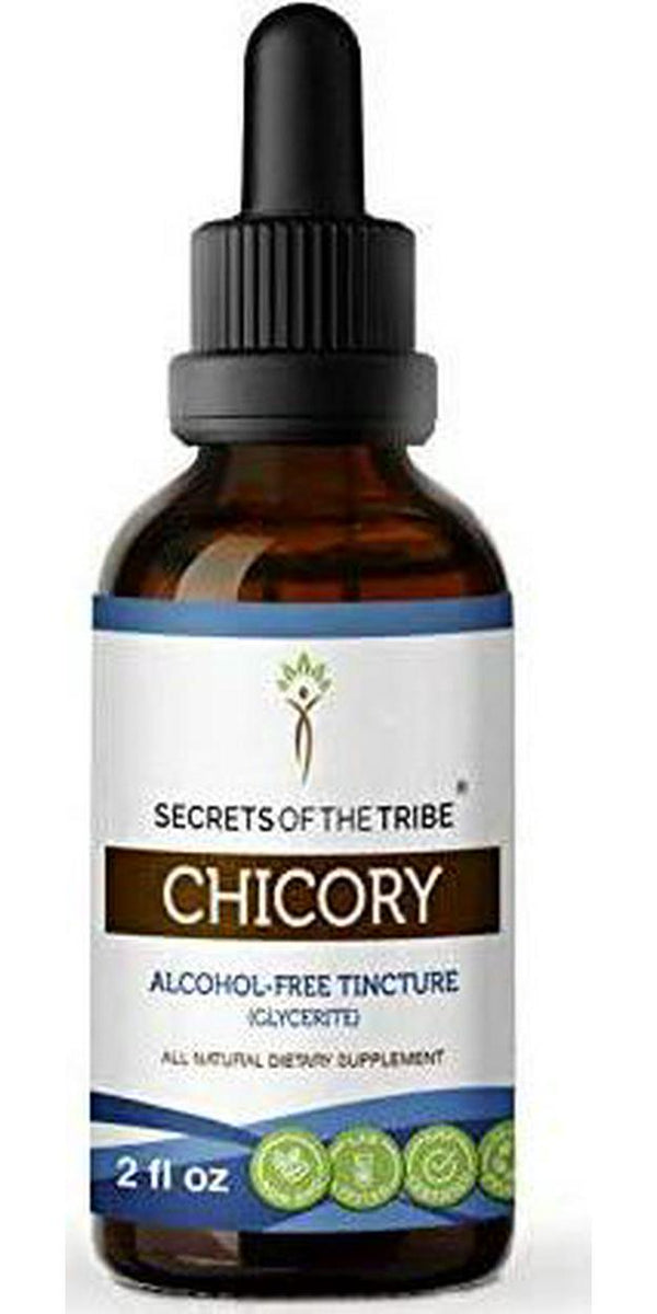 Chicory Tincture Alcohol-Free Extract, Organic Chicory (Cichorium Intybus) Dried Root Powder (2 Fl Oz)