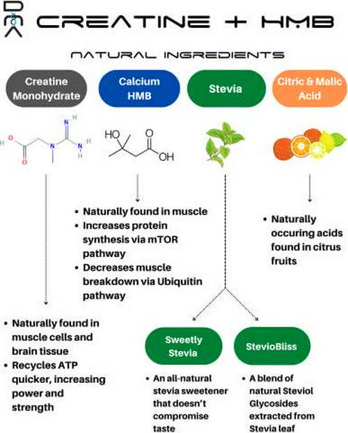 Creatine HMB - Discover Natural Athletics - DNA - Creatine + HMB for Men and Women, Increase Muscle Size and Strength, Improve Workout Recovery (Sparkling Pomegranate Punch)