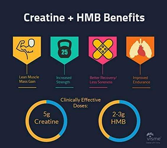 Creatine HMB - Discover Natural Athletics - DNA - Creatine + HMB for Men and Women, Increase Muscle Size and Strength, Improve Workout Recovery (Sparkling Pomegranate Punch)