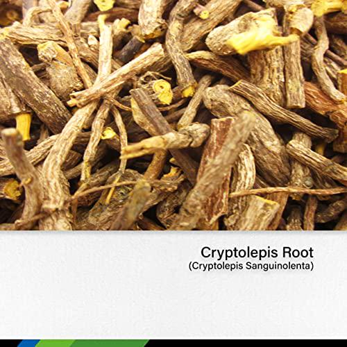 Cryptolepis Tincture Alcohol-Free Liquid Extract, Cryptolepis Root (Cryptolepis Sanguinolenta) (4 FL OZ Prime)