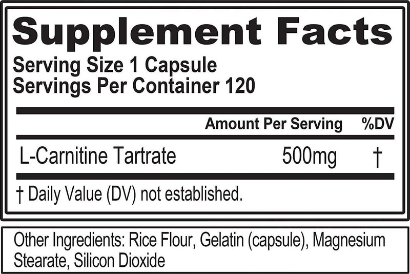 Evlution Nutrition L-Carnitine500, 500 mg of Pure L Carnitine in Each Serving, Stimulant-Free, Capsules (120 Servings)