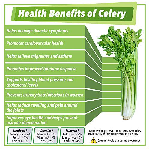 Garden Greens Celery Power Whole Food Juice Cleanse, with Aloe, Fruits and Herbs, Supports Healthy Digestion, Supports Cleanse and Detox, Reduce Bloat and Water Weight, 32 Fl Oz