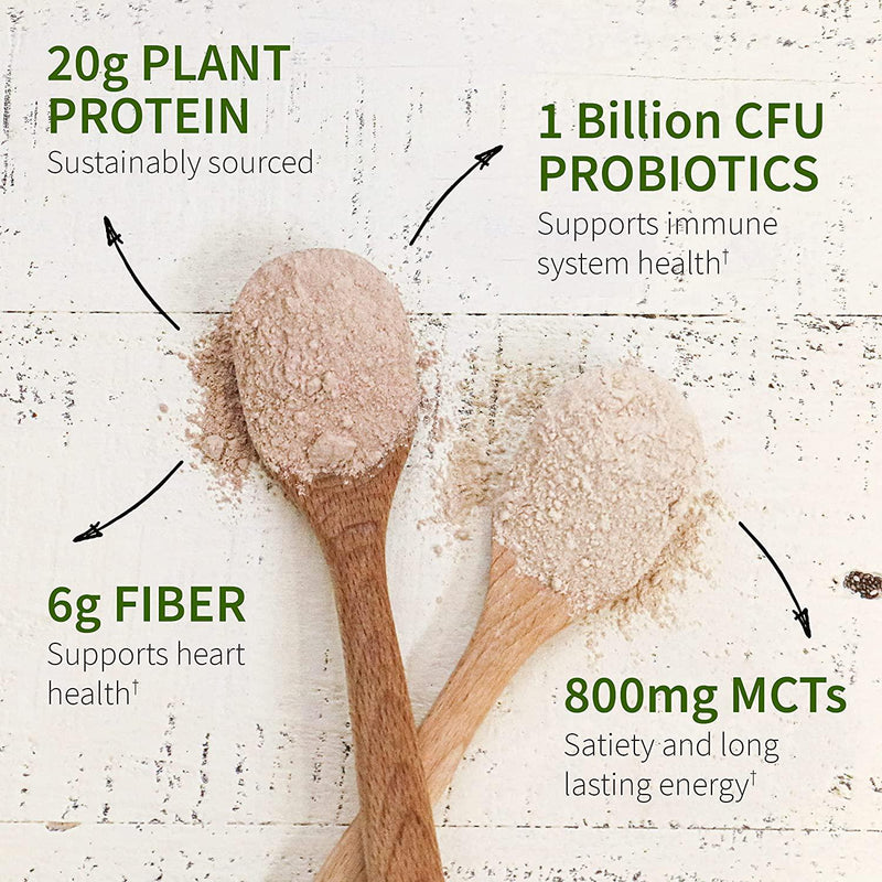 Garden of Life Vanilla Plant Based Protein Powder with Fava Bean, Sprouted Barley and Rice Plus Immune Support and Probiotics for Digestion Dr Formulated MD Non GMO, Carbon Neutral, 14 Servings