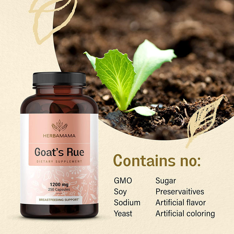 Goat's Rue 250 Capsules 500 mg | Lactation Supplement | Supports Mammary Tissue Development | Breast Feeding Capsules | Gluten Free | Non-GMO