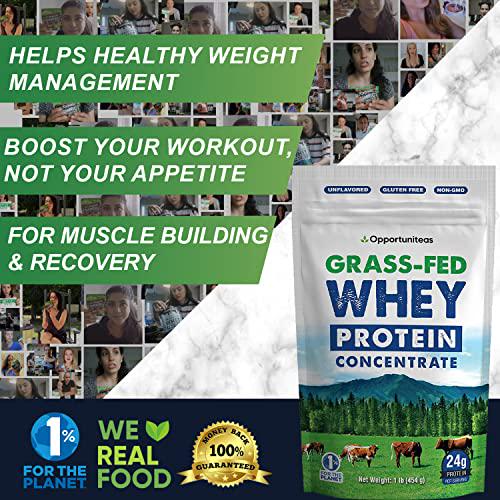 Grass Fed Whey Protein Powder Concentrate - Unflavored and Unsweetened - Pure Protein Supplement for Drink, Smoothie, Shake, Cooking and Baking - Non GMO, Hormone Free and Gluten Free - 1 Pound