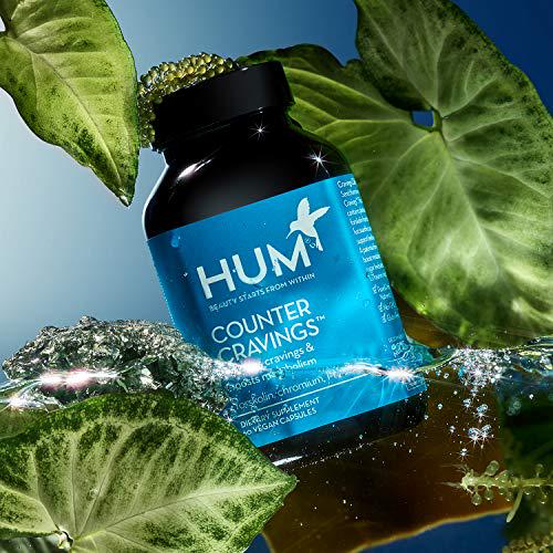HUM Counter Cravings - Dietary Supplement to Help Reduce Cravings, Manage Metabolism and Mood - Chromium, L-Theanine, Seaweed Extract and Forskolin to Support a Healthy Lifestyle (60 Capsules)