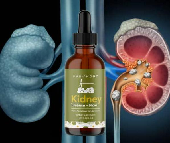 Harvmony Kidney Cleanse + Flow Liquid Drops with High Concentration Chanca Piedra Original Unique Formula 4oz - Kidney Stones and Gallstones Support System STONEBREAKER, Urinary System Support