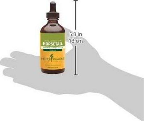 Herb Pharm Horsetail Liquid Extract for Urinary System Support - 4 Ounce