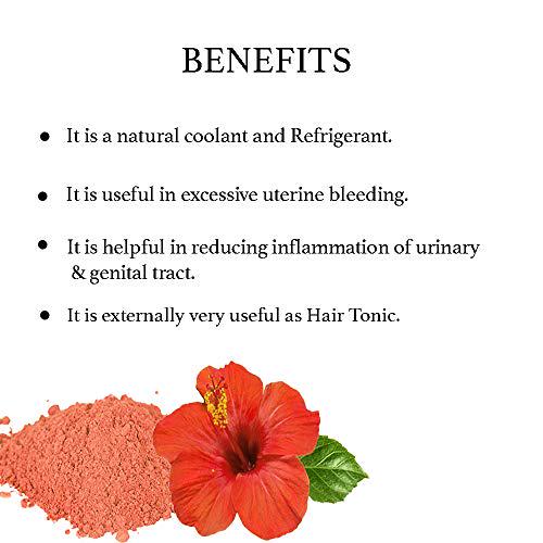 Hibiscus Powder (Hibiscus Rosa Sinensis) 200g (7 Oz), Natural Coolant and Refrigerant | Internally Useful for Skin Problem and Blood Purifier | Externally Useful As Hair Tonic