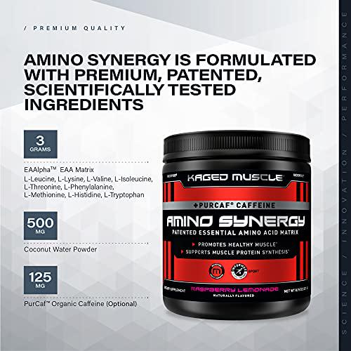 Kaged Muscle Amino Synergy - Vegan BCAA + EAA Powder, Premium Vegan Branched Chain Amino Acid and Essential Amino Acid Supplement with Coconut Water, Raspberry Lemonade, 30 Servings