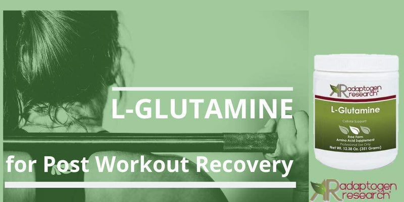 L-Glutamine Cellular Support | Free form Amino Acid Supplement | Powder | Supports Muscle Mass and Gastrointestinal Tract | 351g | Adaptogen Research | Pharmaceutical Grade Supplements