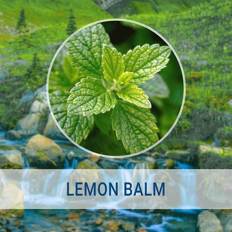 Lemon Balm Liquid Extract 4 fl oz | All-Natural Dietary Supplement | Anxiety and Stress Relief | Mood Booster | Sleep Aid | Non-GMO