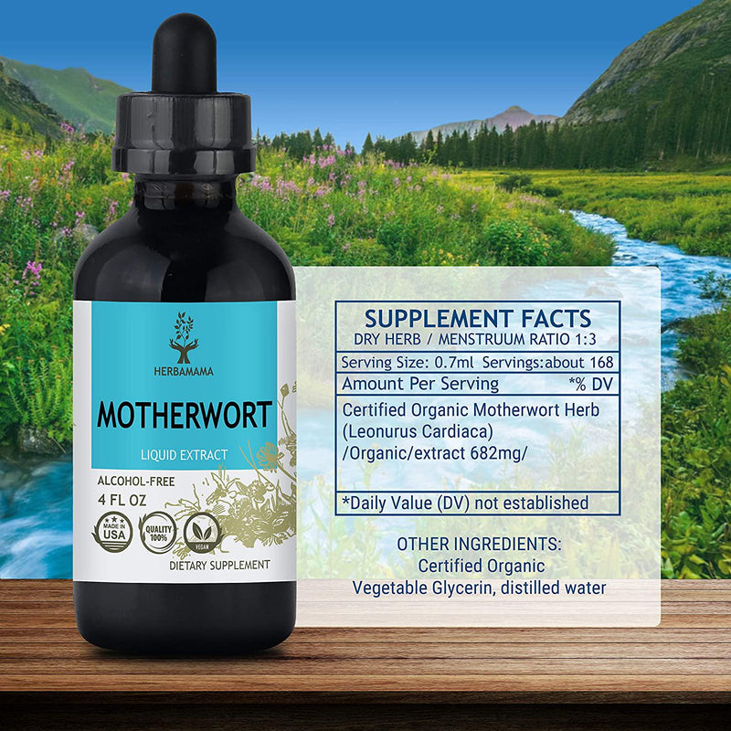 Motherwort Liquid Extract 4 fl oz | All-Natural Dietary Supplement | Supports Heart Health | Blood Pressure Support | Anxiety and Stress Relief | Women's Health Supplement | Kidney Support | Non-GMO