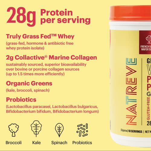 Natreve Whey Protein Powder - 28g Grass-Fed Whey Protein with Amino Acids, Probiotics and Collagen - Gluten Free French Vanilla Wafer Sundae, 18 Servings