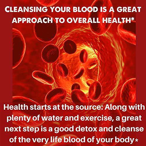 Natural Blood Cleanser Capsules Organic Supplement SpeedyVite (120 Vegetable Powder Capsules)