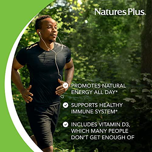 NaturesPlus Source of Life - 180 Tablets, Pack of 3 - Multi-Vitamin and Mineral Supplement - Supports Natural Energy and Overall Well-Being - Gluten Free, Vegetarian - 180 Total Servings