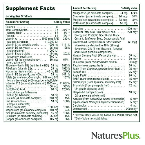 NaturesPlus Source of Life - 180 Tablets, Pack of 3 - Multi-Vitamin and Mineral Supplement - Supports Natural Energy and Overall Well-Being - Gluten Free, Vegetarian - 180 Total Servings