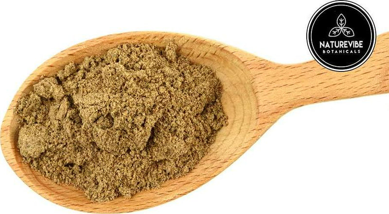 Naturevibe Botanicals Milk Thistle Seed Powder, 1lb | Non-GMO and Kosher | Silybum marianum (16 Ounces)