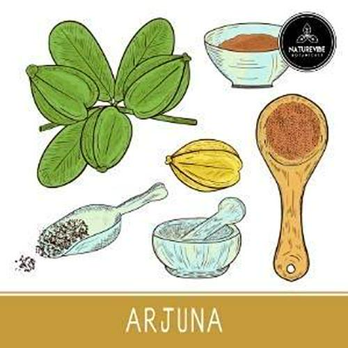 Naturevibe Botanicals Organic Arjuna Bark Powder, 5lbs | Terminalia Arjuna - 100% Pure and Natural | Boosts Immunity (80 Ounces)