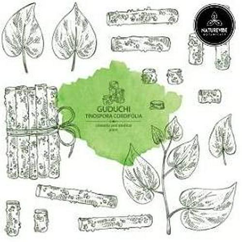 Naturevibe Botanicals USDA Organic Guduchi Powder, 5lbs - Tinospora Cordifolia - 100% Pure and Natural | Supports Immune System (80 Ounces)