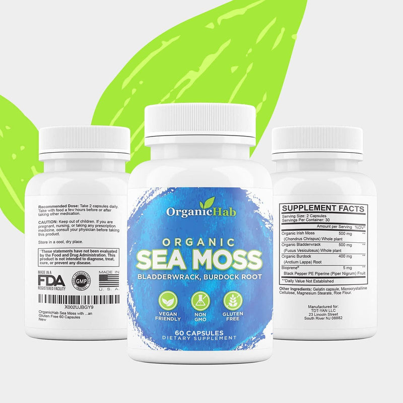 OrganicHab Sea Moss with Bladderwrack and Burdock Root Organic Capsules, Sea Moss Supplement for Immune Support-Healthy Skin-Digestive System&Thyroid Support Vegan Gluten Free 60 Capsules