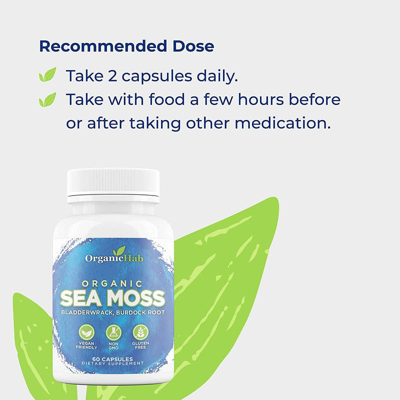 OrganicHab Sea Moss with Bladderwrack and Burdock Root Organic Capsules, Sea Moss Supplement for Immune Support-Healthy Skin-Digestive System&Thyroid Support Vegan Gluten Free 60 Capsules
