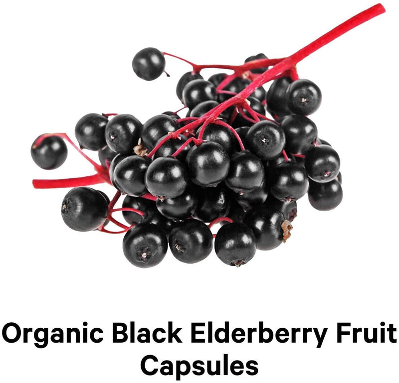 Organic Black Elderberry Supplement - Vitamin C, D, Zinc - Fermented Black Elderberries Vitamins - Elderberry Fruit Extracts Pills Concentrate – Sumbucus Berries Flavonoid - Vegan - 90 Capsules