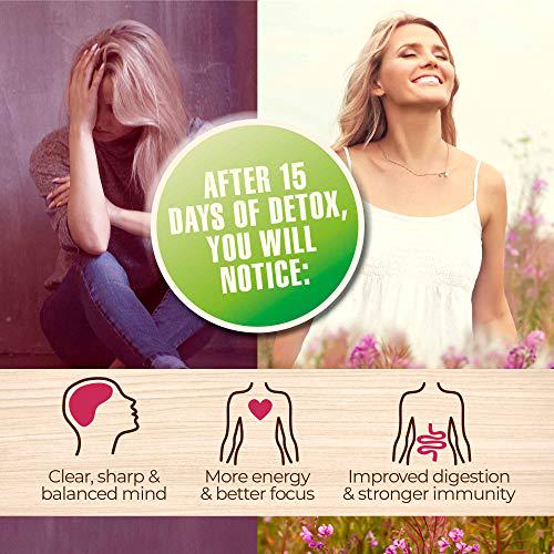Organic Detox Smoothie Powder with Healthy Spirulina, Atlantic Dulse and Barley Grass Juice Powder, 15-day Plan for Total Body Restart, Premium Quality superfood from Europe
