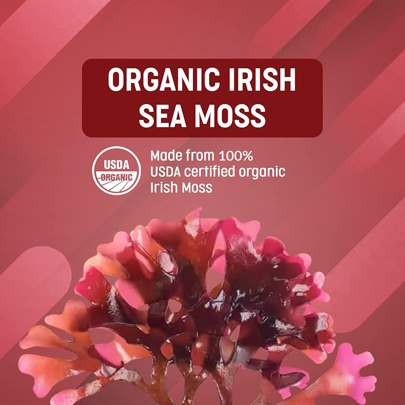 Organic Irish Sea Moss Capsules, Sustainably Wildcrafted Irish Sea Moss, Chondrus Crispus Organic Sea Moss Powder for Supporting Thyroid, Digestive, Immune Health, Non-GMO, Vegan, 90 Capsules