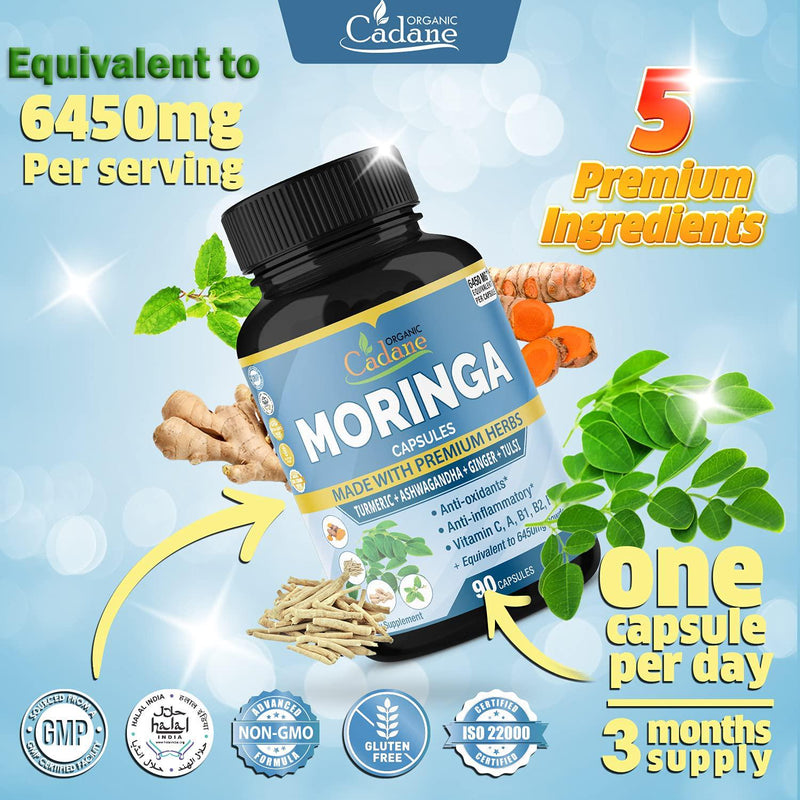 Organic Moringa Extract Capsules 6450MG with Turmeric, Ashwagandha, Ginger, Tulsi |Multi Vitamin Oleifera Leaf Herb|Support Immune System, Energy Booster|Anti-Inflammatory Supplements, 3 Months Supply
