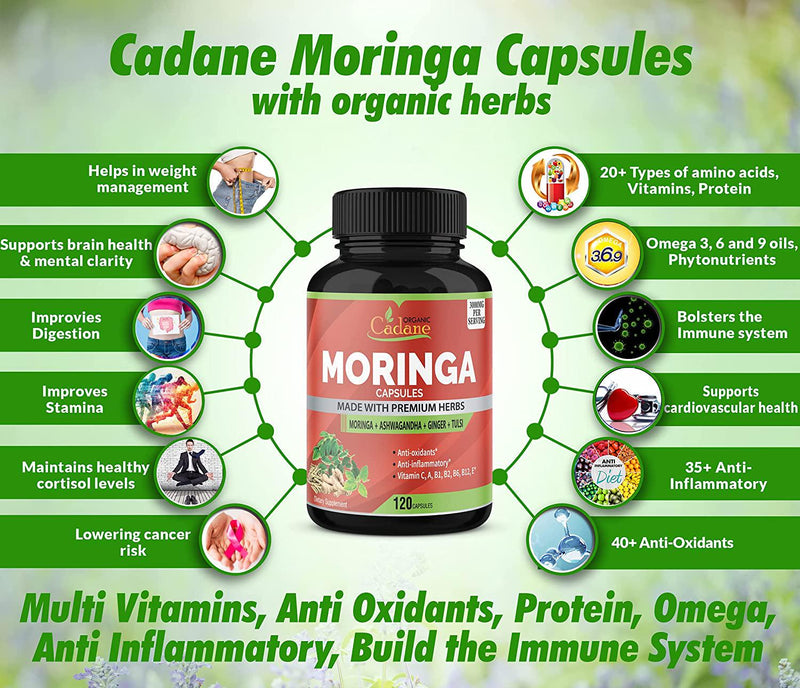 Organic Moringa Powder Capsules 3000mg with Ashwagandha, Ginger, Tulsi Extract | Multi Nutrition Vitamin Oleifera Leaf | Supports Immune System, Energy Booster| Anti-Inflammatory Supplements, 120Caps