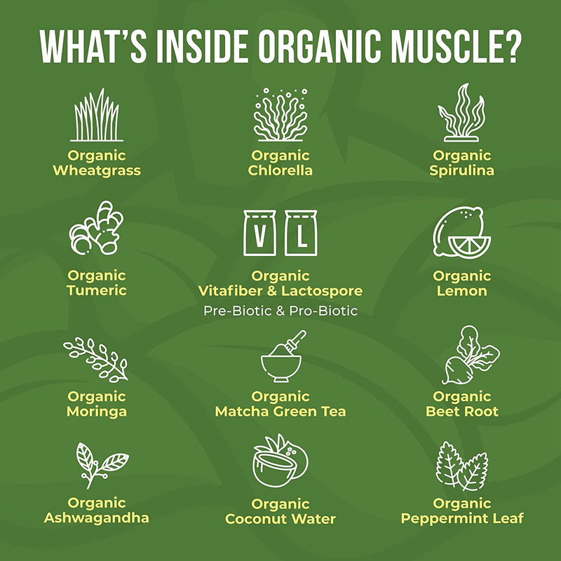 Organic Muscle Superfood Greens | USDA Certified Organic Green Juice Powder | Supports Gut Health, Energy and Weight Management | Vegan, Keto, Non-GMO | Lemon Flavor | 30 Servings