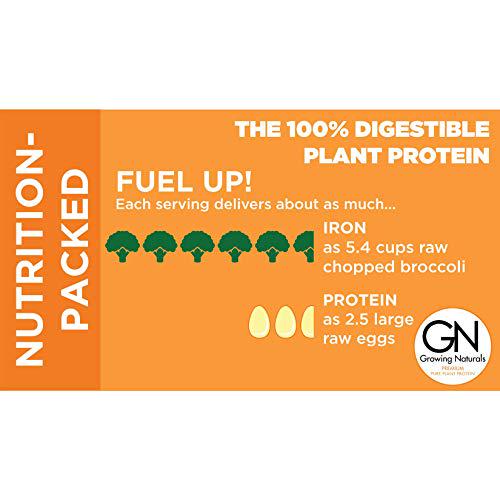 Organic Premium Plant Based Protein, Vanilla Pure Rice Protein Powder - Growing Naturals - Non-GMO, Vegan, Gluten-Free, Keto Friendly, Shelf-Stable (Vanilla Blast, 2 Pound (Pack of 1))