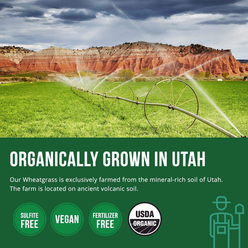 Organic Wheatgrass Juice Powder - Grown in Volcanic Soil of Utah - Raw and BioActive Form, Cold-Pressed Then CO2 Dried - Complements Barley Grass Juice Powder - 5.3 oz