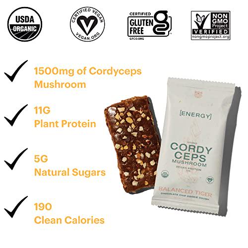 Productivity Bundle - Functional Mushroom Protein Bars | Full Dose (1500mg) of Lion's Mane or Cordyceps in Each Bar | Organic, Non-GMO, Vegan, Gluten-Free, High Protein, Low Sugar | 2 Boxes of 12